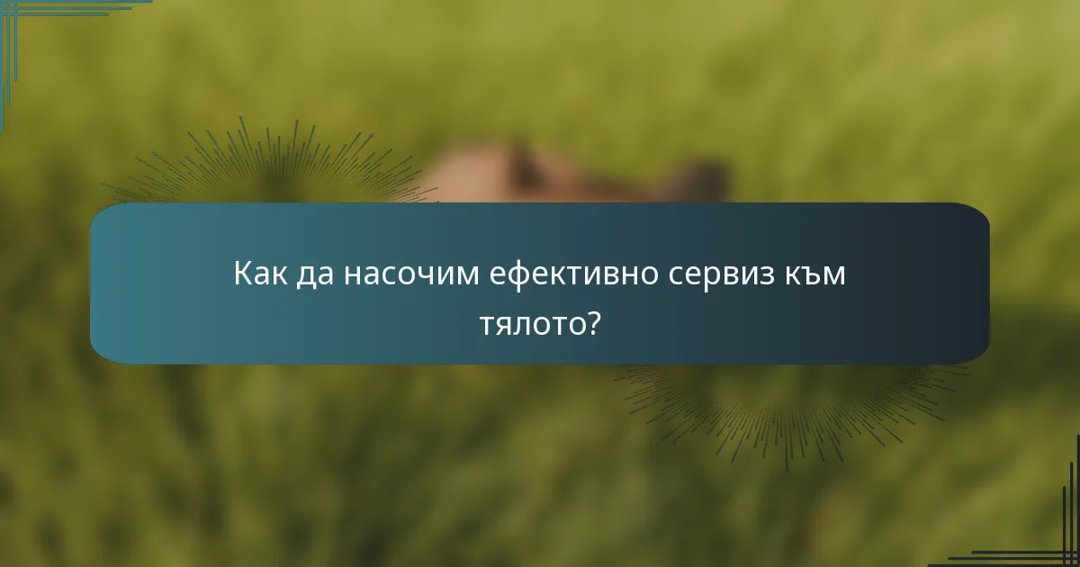 Как да насочим ефективно сервиз към тялото?