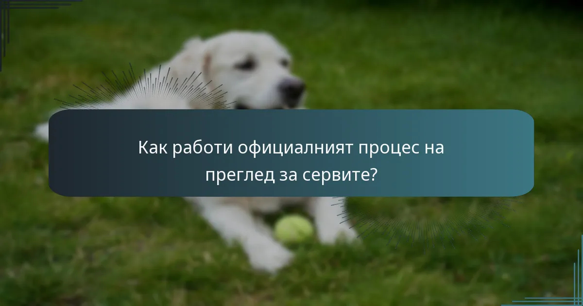 Как работи официалният процес на преглед за сервите?