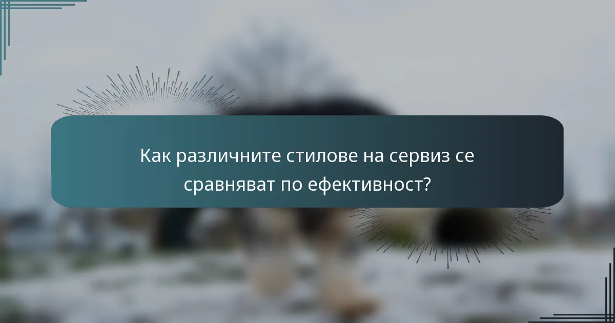 Как различните стилове на сервиз се сравняват по ефективност?