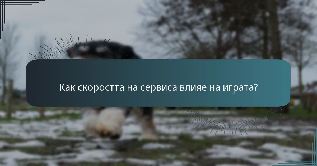 Как скоростта на сервиса влияе на играта?