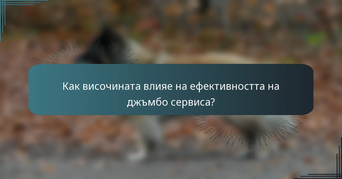 Как височината влияе на ефективността на джъмбо сервиса?
