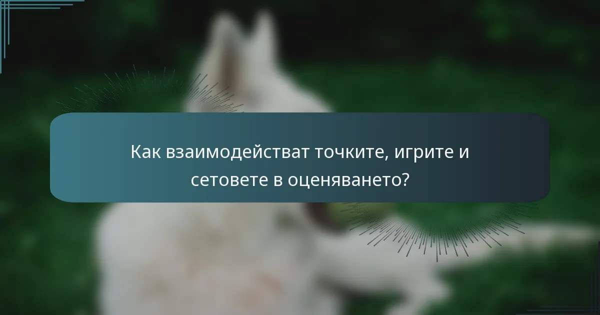 Как взаимодействат точките, игрите и сетовете в оценяването?