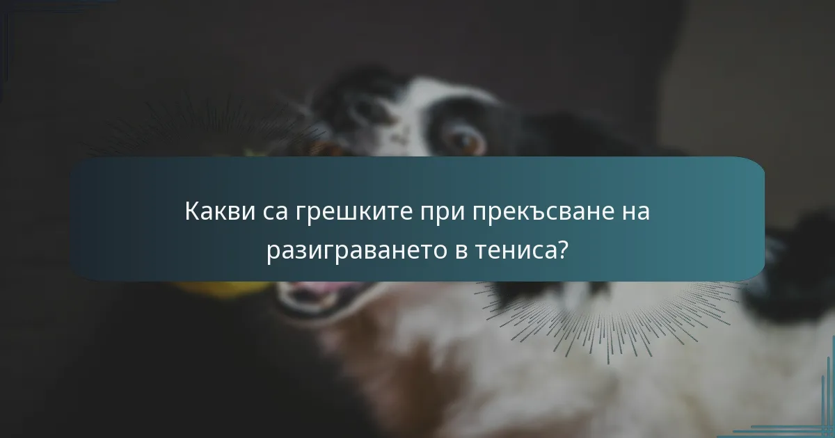 Какви са грешките при прекъсване на разиграването в тениса?
