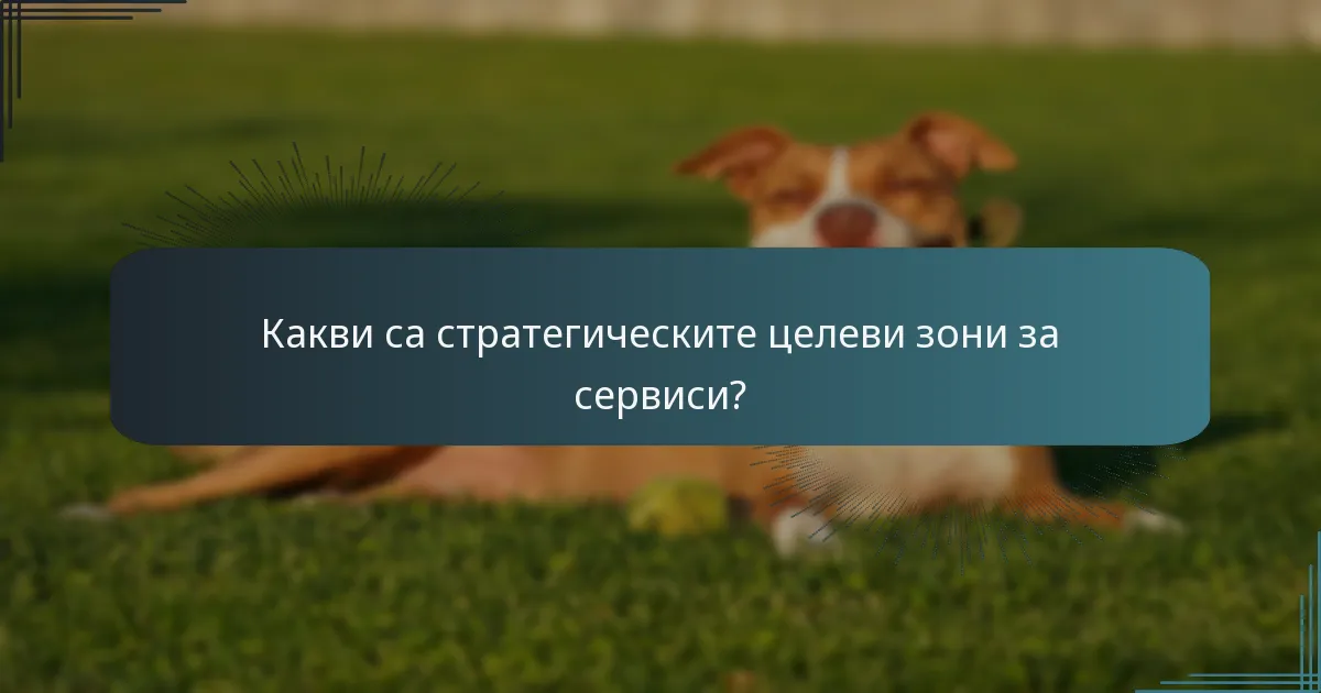 Какви са стратегическите целеви зони за сервиси?