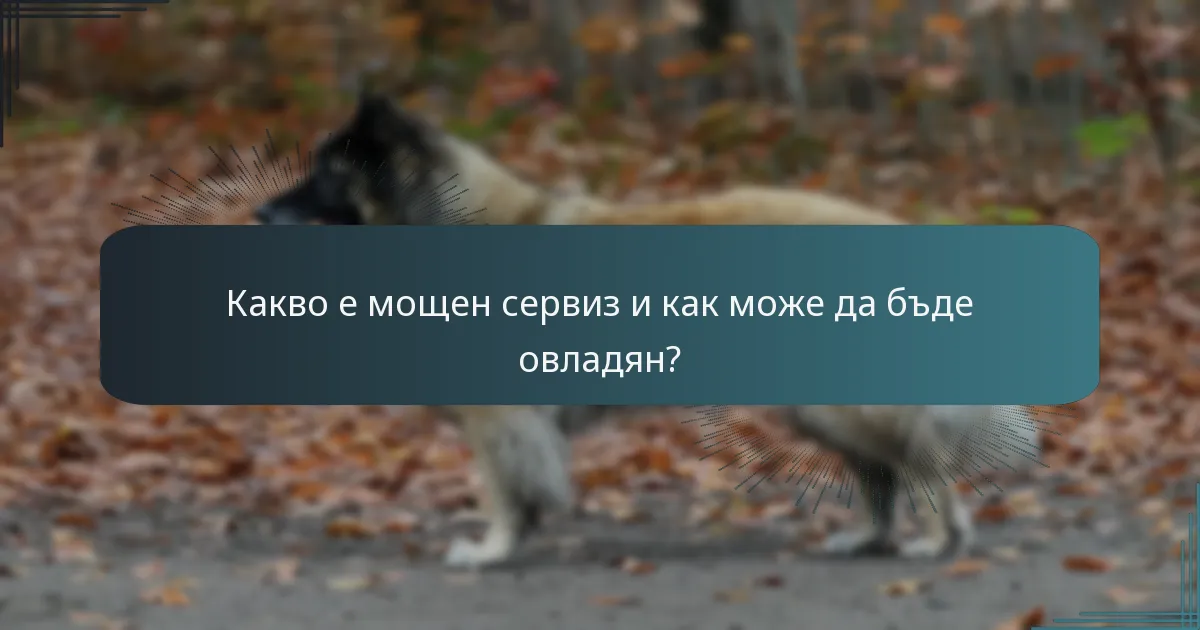Какво е мощен сервиз и как може да бъде овладян?