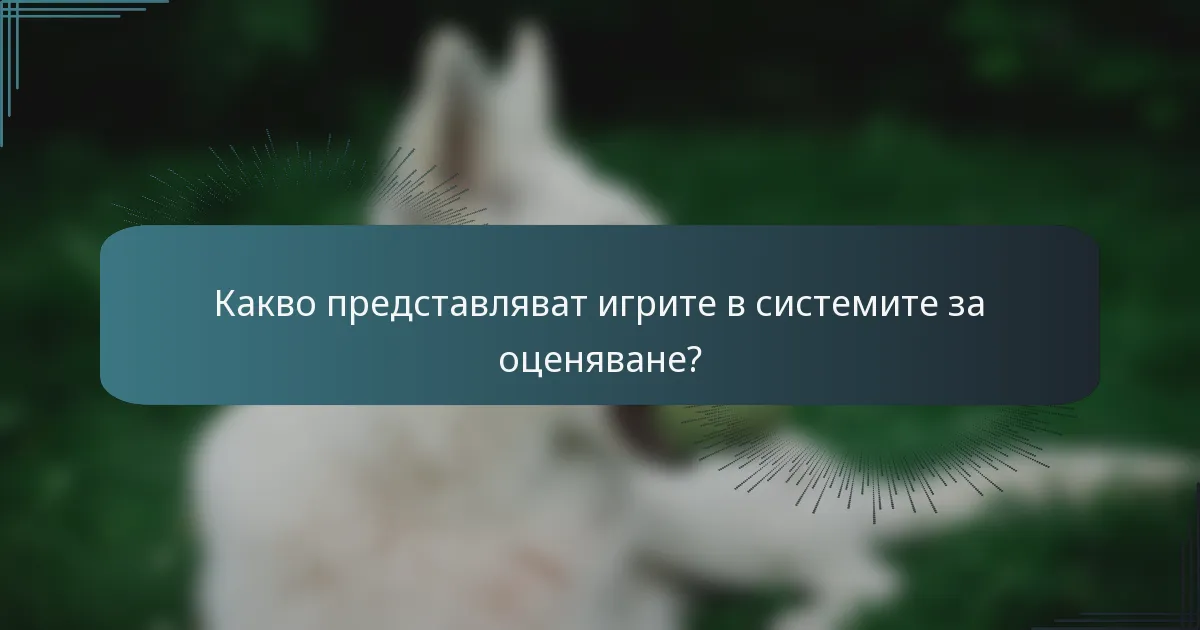 Какво представляват игрите в системите за оценяване?