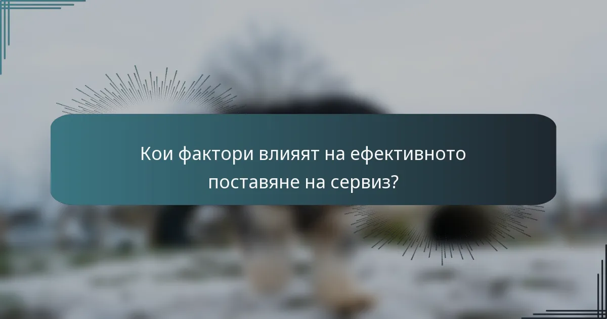 Кои фактори влияят на ефективното поставяне на сервиз?