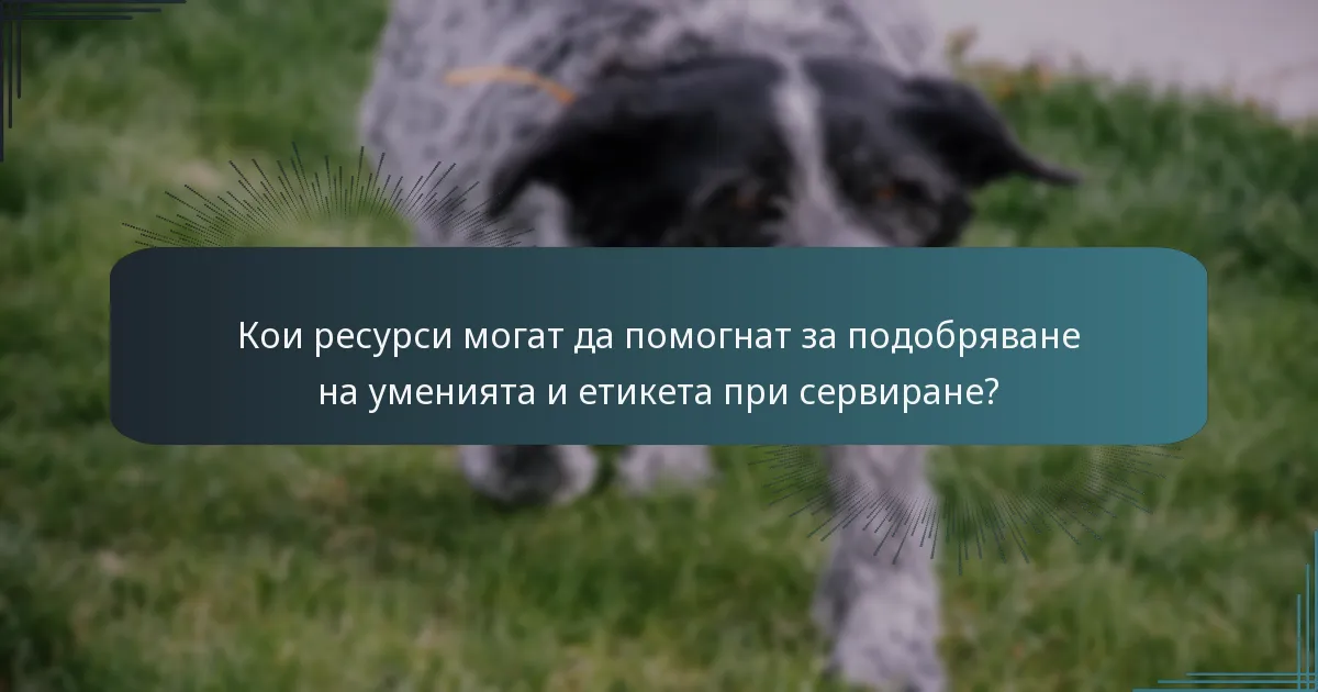 Кои ресурси могат да помогнат за подобряване на уменията и етикета при сервиране?